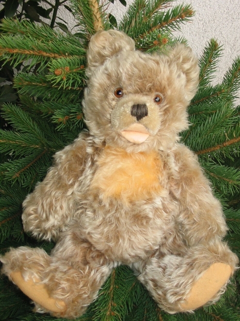 seebergerteddy gesund1