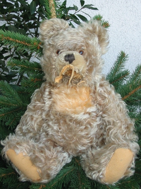 seebergerteddy krank 500